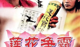 莲花电视剧,穿越时空的传奇爱情